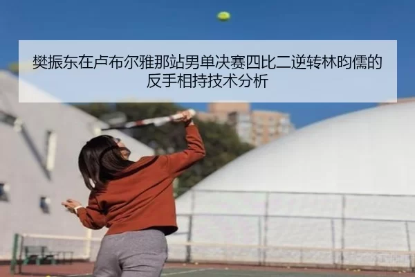 樊振东在卢布尔雅那站男单决赛四比二逆转林昀儒的反手相持技术分析