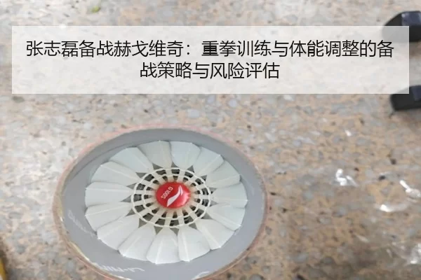 张志磊备战赫戈维奇：重拳训练与体能调整的备战策略与风险评估