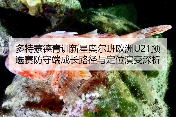 duo-te-meng-de-qing-xun-xin-xing-ao-er-ban-ou-zhou-yu-xuan-sai-fang-shou-duan-cheng-zhang-lu-jing-yu-ding-wei-yan-bian-2-467.jpg